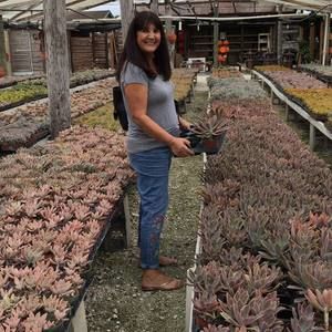 Meet your Posher, Caridad